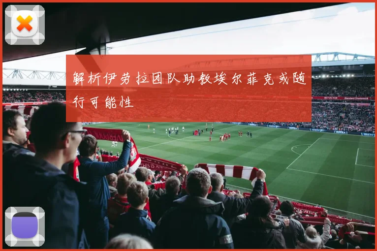 解析伊劳拉团队助教埃尔菲克或随行可能性